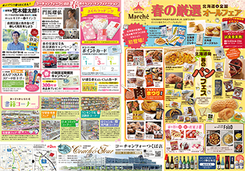 茨城版 表面