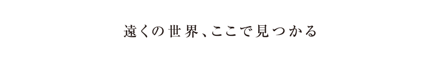 楽しいを見つけるなら