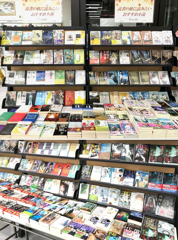 読書の秋に読みたいおすすめ小説
