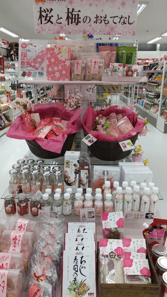 桜と梅のおもてなし