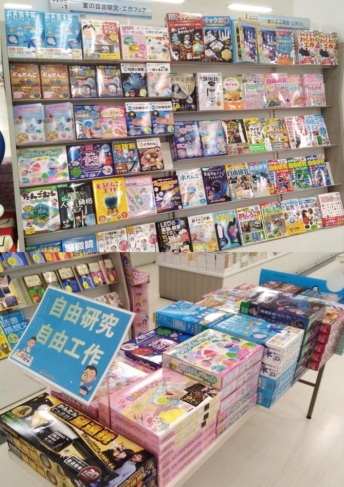 夏の自由研究