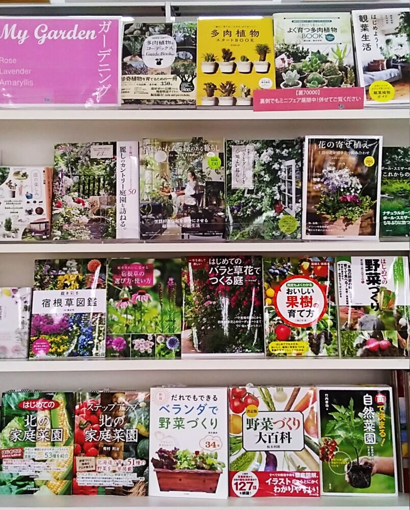 庭遊び、土遊び