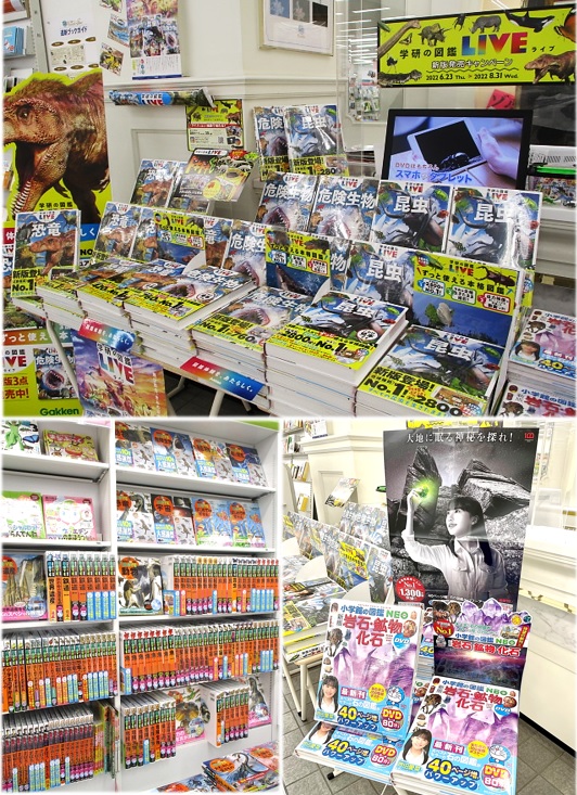 書籍コーナー コーナー 新着情報 全国最大規模の複合店コーチャンフォー 公式サイト 書店 Cd Dvdショップ 文具店 食品 カフェ レストランが1つになった超大型店