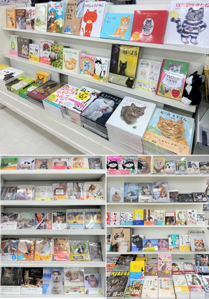 癒しのねこ