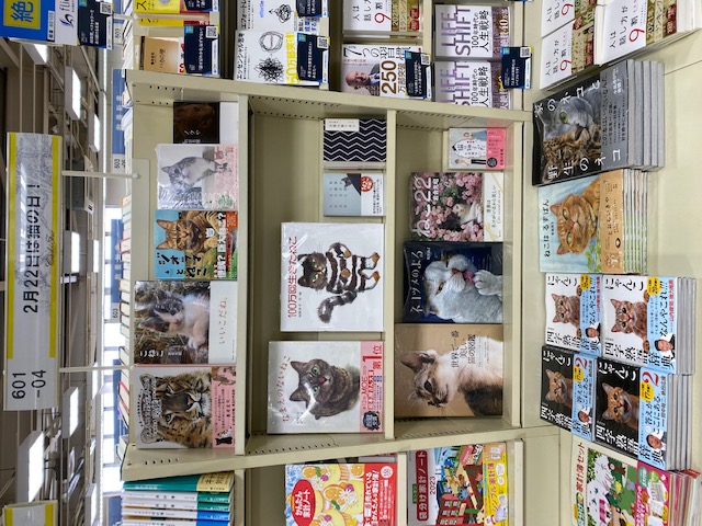 猫の日に読みたい!イチオシ書籍