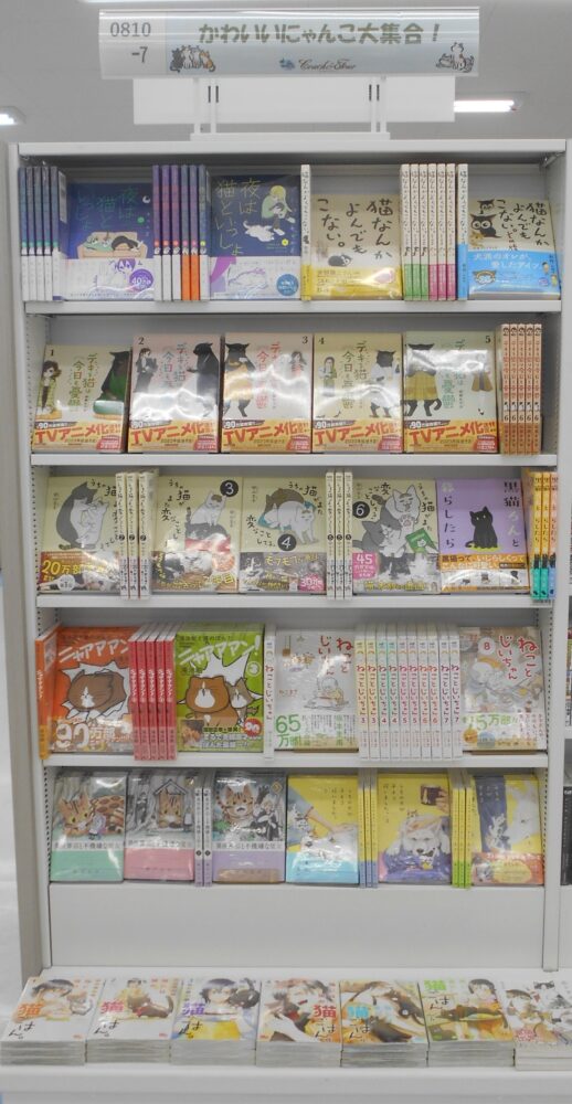 猫の魅力たっぷりのコミック