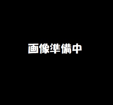 乃木坂46　阪口珠美1st写真集　コーチャンフォーオリジナル特典付き