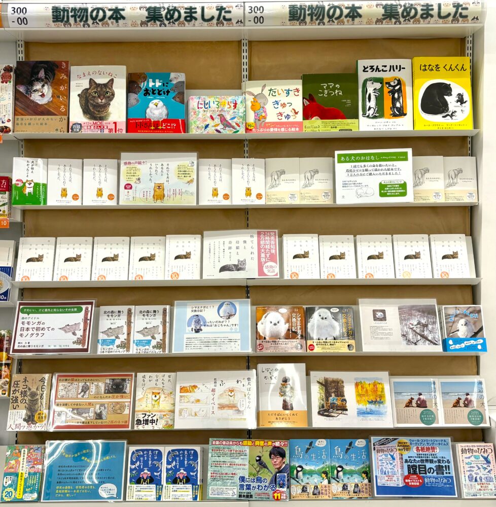 読書の秋、動物と出会う秋。