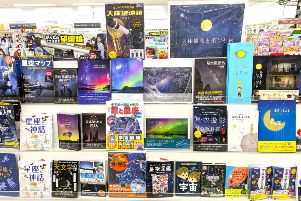 見上げてみて!夜の星々たちを。