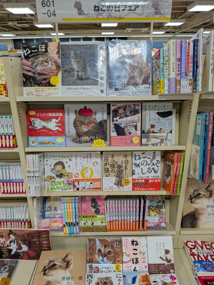 今年もやってきました!2月22日は猫の日!