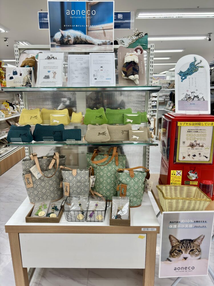 ネコはお好きですか?🐈